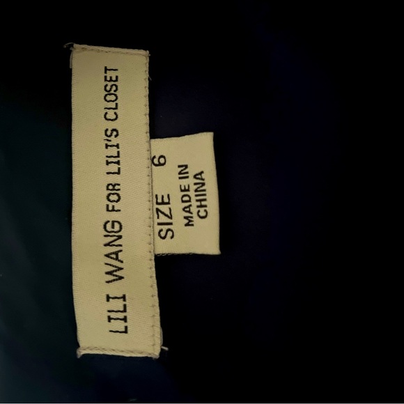 Lili Wang for Lilli’s Closet Dress - Picture 3 of 4